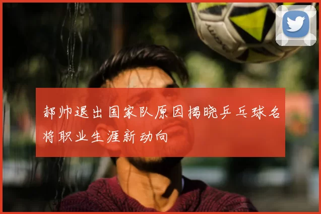 郝帅退出国家队原因揭晓乒乓球名将职业生涯新动向