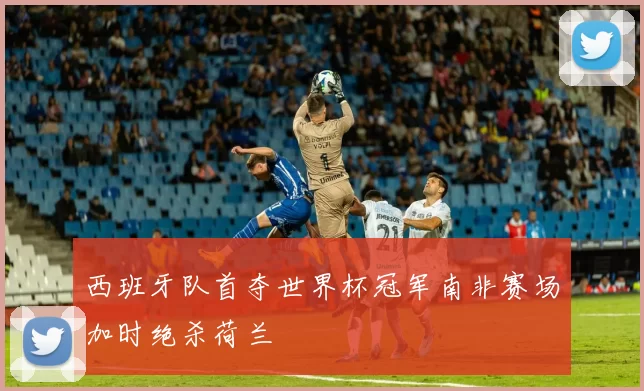 西班牙队首夺世界杯冠军南非赛场加时绝杀荷兰